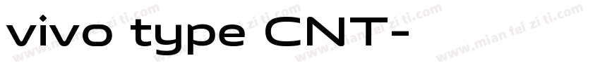 vivo type CNT字体转换